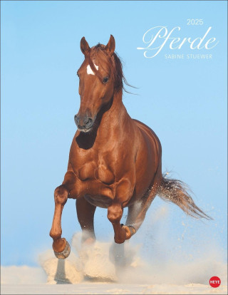 Pferde Classics Posterkalender 2025