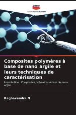 Composites polymères à base de nano argile et leurs techniques de caractérisation