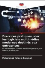 Exercices pratiques pour les logiciels multimédias modernes destinés aux entreprises