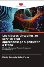Les classes virtuelles au service d'un apprentissage significatif ? Mtica
