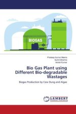 Bio Gas Plant using Different Bio-degradable Wastages
