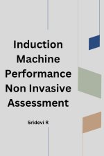 Induction Machine Performance Non Invasive Assessment
