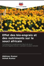 Effet des bio-engrais et des nutriments sur le souci africain