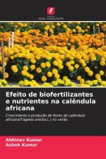 Efeito de biofertilizantes e nutrientes na cal?ndula africana