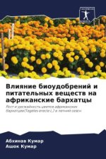 Vliqnie bioudobrenij i pitatel'nyh weschestw na afrikanskie barhatcy