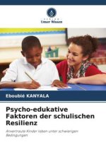 Psycho-edukative Faktoren der schulischen Resilienz