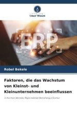 Faktoren, die das Wachstum von Kleinst- und Kleinunternehmen beeinflussen