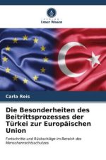Die Besonderheiten des Beitrittsprozesses der Türkei zur Europäischen Union