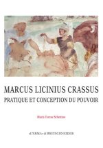 Marcus Licinius Crassus: Pratique et conception du pouvoir