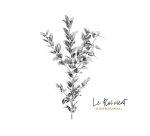 Le Roi vient