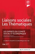 LES EXPERTS DU COMITE SOCIAL ET ECONOMIQUE