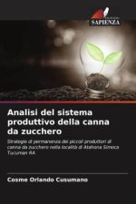Analisi del sistema produttivo della canna da zucchero