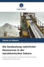 Die Ausbeutung natürlicher Ressourcen in der marokkanischen Sahara