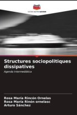 Structures sociopolitiques dissipatives