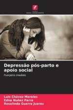 Depress?o pós-parto e apoio social