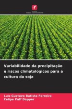 Variabilidade da precipitaç?o e riscos climatológicos para a cultura da soja