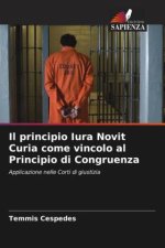 Il principio Iura Novit Curia come vincolo al Principio di Congruenza
