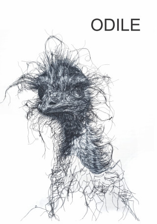 Odile