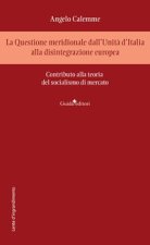 Questione meridionale dall'Unità d'Italia alla disintegrazione europea. Contributo alla teoria del socialismo di mercato