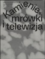Zygmunt Rytka: Stones, Ants, and Television