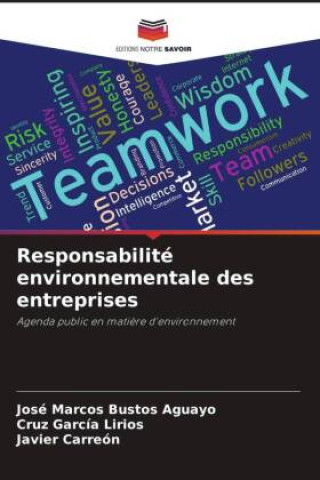 Responsabilité environnementale des entreprises