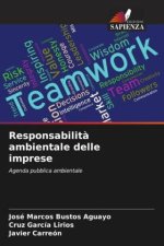 Responsabilit? ambientale delle imprese