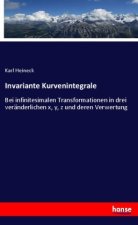 Invariante Kurvenintegrale
