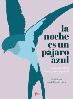 LA NOCHE ES UN PÁJARO AZUL