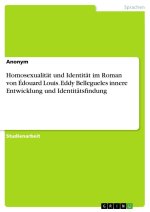 Homosexualität und Identität im Roman von Édouard Louis. Eddy Bellegueles innere Entwicklung und Identitätsfindung