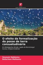 O efeito da formalização da posse de terra consuetudinária