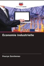 Économie industrielle