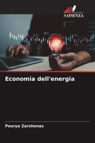 Economia dell'energia