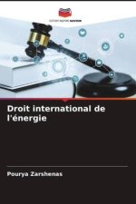 Droit international de l'énergie