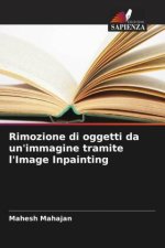 Rimozione di oggetti da un'immagine tramite l'Image Inpainting