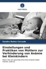 Einstellungen und Praktiken von Müttern zur Verhinderung von Anämie bei Kleinkindern
