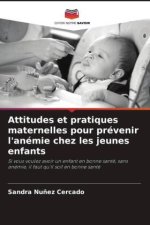 Attitudes et pratiques maternelles pour prévenir l'anémie chez les jeunes enfants