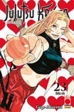 Jujutsu Kaisen. Sorcery Fight