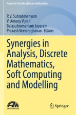 Synergies in Analysis, Discrete Mathematics, Soft Computing and Modelling