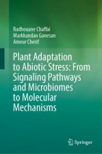 Plant Adaptation to Abiotic Stress: From Signaling Pathways and Microbiomes to Molecular Mechanisms