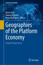 Geographies of the Platform Economy