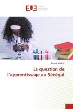 La question de l'apprentissage au Sénégal