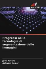 Progressi nella tecnologia di segmentazione delle immagini