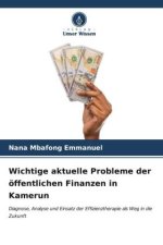 Wichtige aktuelle Probleme der öffentlichen Finanzen in Kamerun