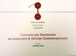 Comment par Xenomanes est anatomisé & descript Quaresmeprenant