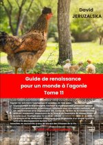 Guide de renaissance pour un monde T11