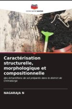 Caractérisation structurelle, morphologique et compositionnelle