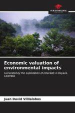 Economic valuation of environmental impacts