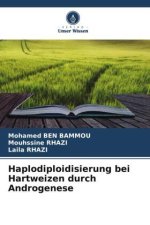 Haplodiploidisierung bei Hartweizen durch Androgenese