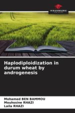 Haplodiploidization in durum wheat by androgenesis