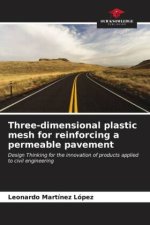 Three-dimensional plastic mesh for reinforcing a permeable pavement